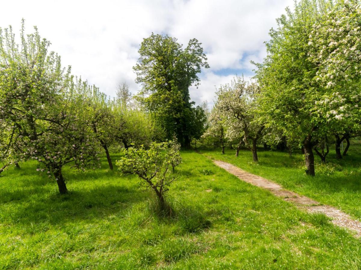 Gartenbungalow 2 Rechte Seite Klein Pravtshagen 外观 照片