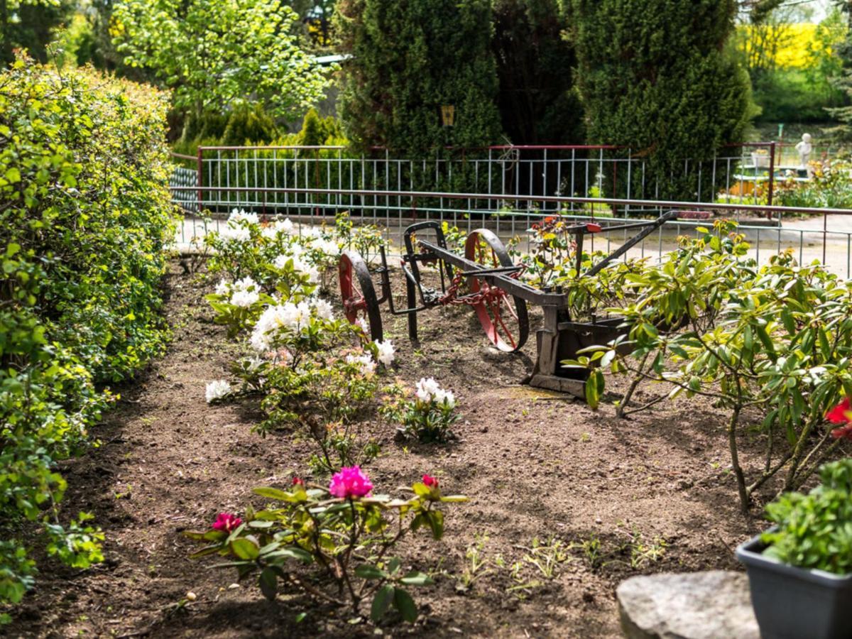 Gartenbungalow 2 Rechte Seite Klein Pravtshagen 客房 照片