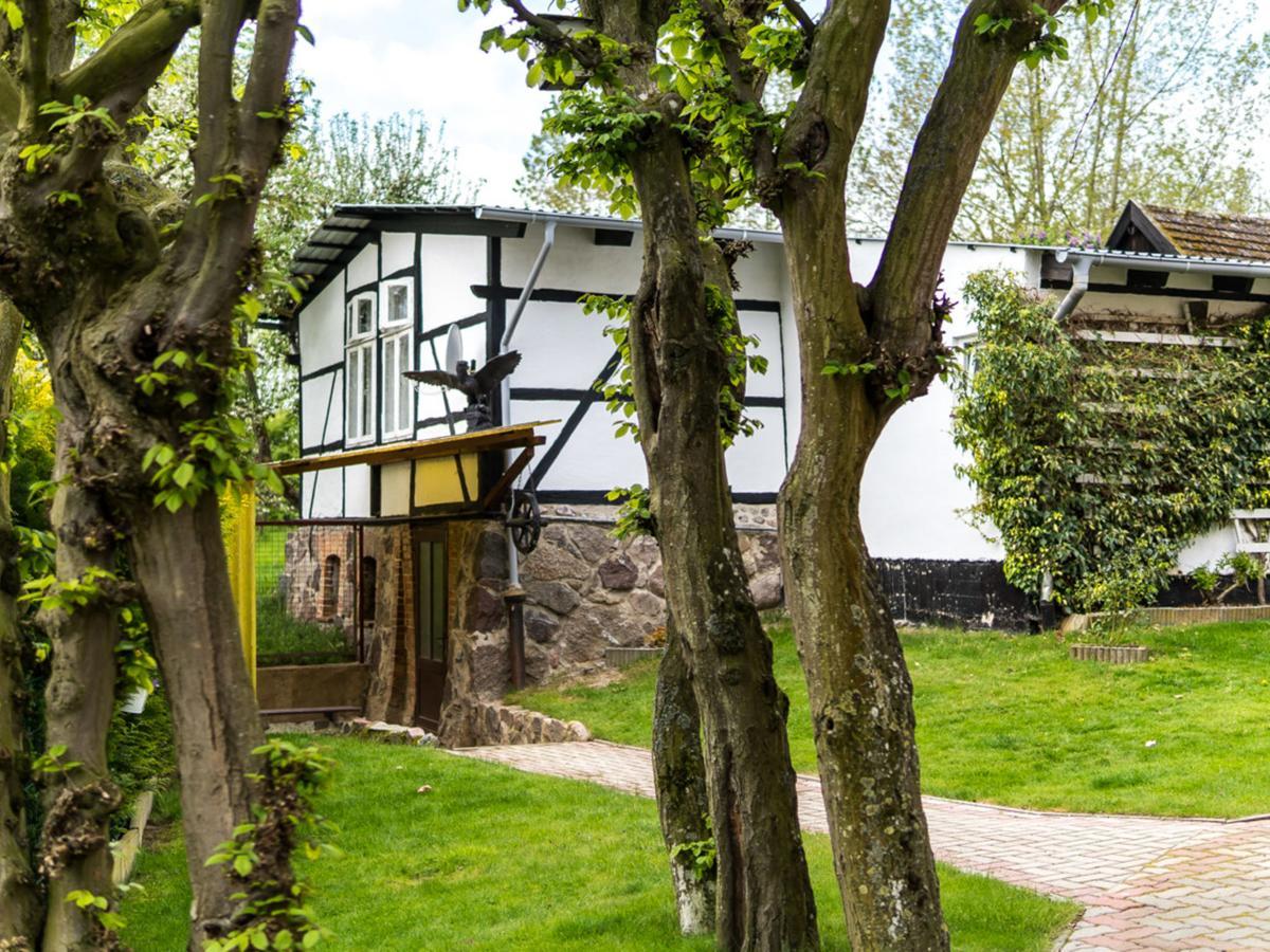 Gartenbungalow 2 Rechte Seite Klein Pravtshagen 外观 照片